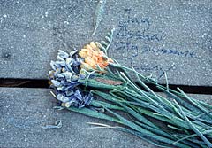 Frusna blommor