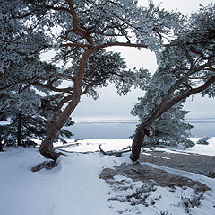 Sandn, Stockholms skrgrd