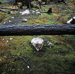 Tyresta nationalpark, Stockholm