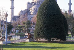 Framfr Bl moskn, Istanbul